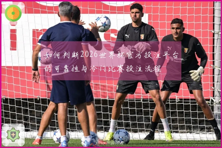 如何判断2026世界杯官方投注平台的可靠性与冷门比赛投注流程