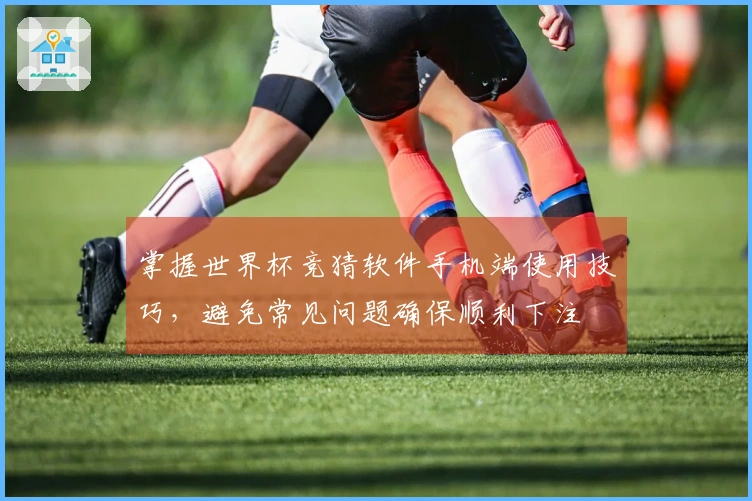 掌握世界杯竞猜软件手机端使用技巧，避免常见问题确保顺利下注