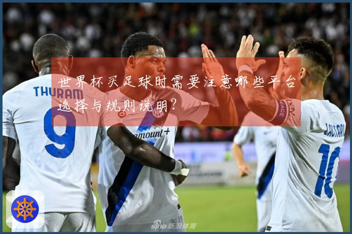 世界杯买足球时需要注意哪些平台选择与规则说明？