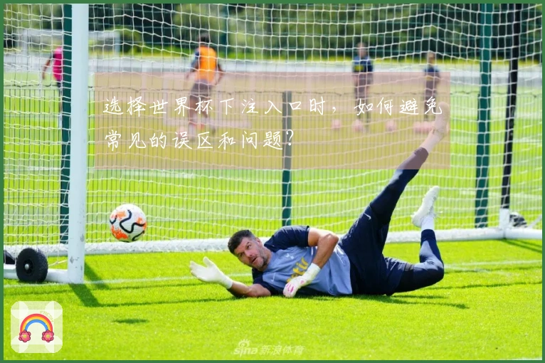 选择世界杯下注入口时，如何避免常见的误区和问题？