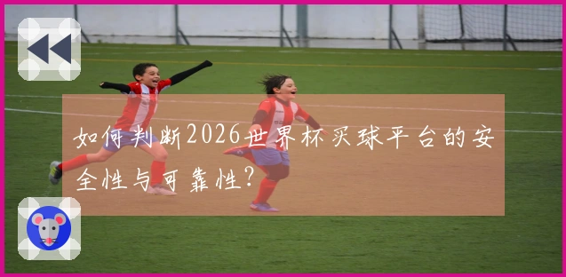 如何判断2026世界杯买球平台的安全性与可靠性？