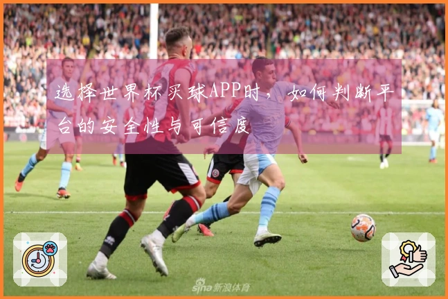 选择世界杯买球APP时，如何判断平台的安全性与可信度